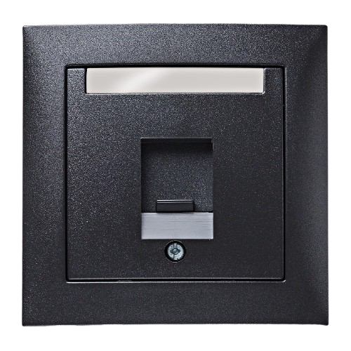 Berker S.1 Plastic Dust Protection in Matt Anthracite