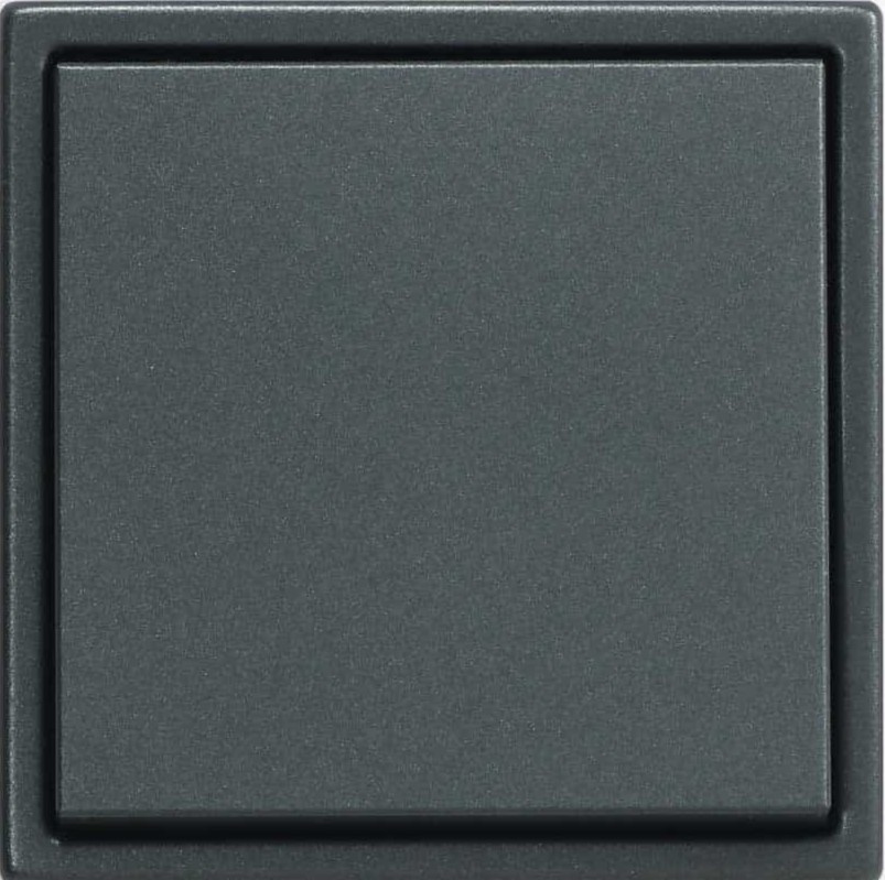 Jung LS 990 Ant
